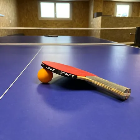 Chez Riri Et Mimi, 6-8 Personnes Avec Grande Salle De Jeux Chambretaud